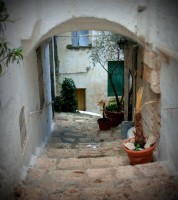 /album/galleria-fotografica/a7874-579961315377955-678583784-n-jpg/