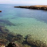 /album/galleria-fotografica/a23350-116187105222791-132207464-n-jpg/